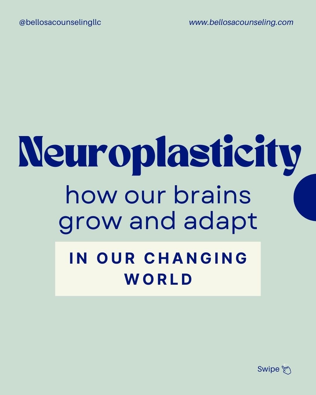 What is Neuroplasticity?
